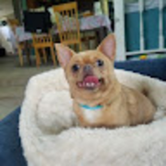 Meet your Posher, Jaime - Picture 1 of 1